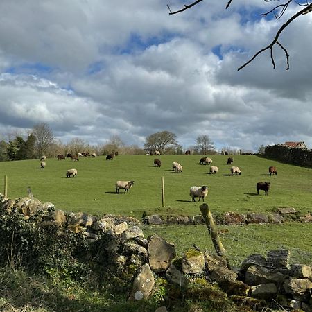 Chestnut Cottage Ravensworth ริชมอนด์ ภายนอก รูปภาพ